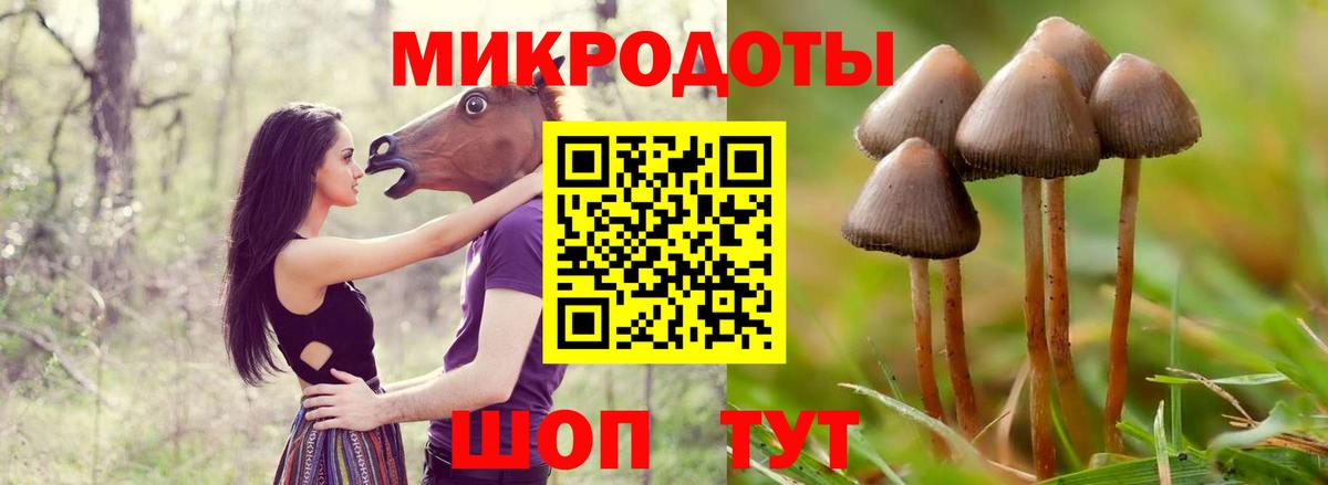 Муром  наркотики  Вход с VPN  Галлюциногенные грибы мухоморы  Галлюциногенные грибы Psilocybine cubensis 